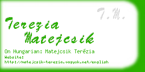 terezia matejcsik business card